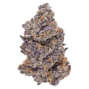 Sensimila - Craft Collective SATIVA - Craft Collection - Sativa