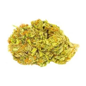 Color - Mango Haze - Color Cannabis - Mango Haze