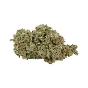 Back Forty - Apple Fritter