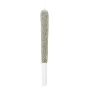 Crooked Dory - Kush Cake Shatter Infused Pre-Roll - 4x0.5g