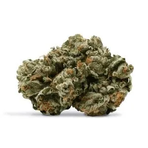 Pink Kush