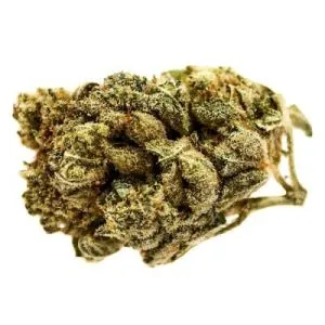 Station House - Blue Dream - Blue Dream