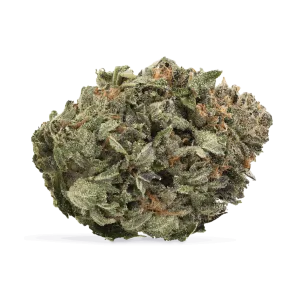 Organic Comatose