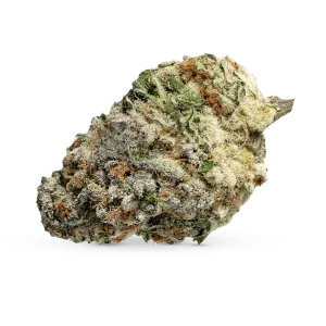 MAC 1