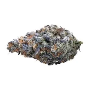 FUGA - Mandarin Cookies R2 LSO