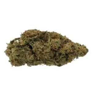 HWY 8 - Colossal Pineapple
