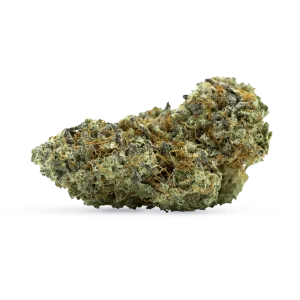 Billy's Pheno
