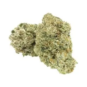 1964 - Organic Comatose - Organic Comatose Dried Flower