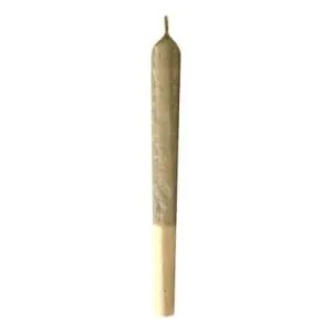 MTL Cannabis - Jungl' Cake Pre-Roll - Jungl' Cake Pre-Roll 3x0.5g