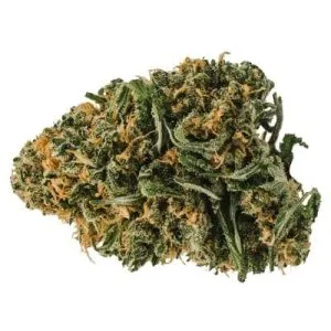 Redecan - Animal Rntz - Animal Rntz