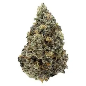 GreenSeal - Purple Crush