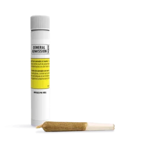 Mango High-Chew Infused Pre-Roll | 1g
