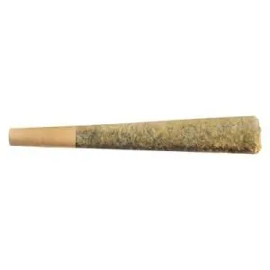 Fuego - Tropic Haze 1x1g Pre-Roll